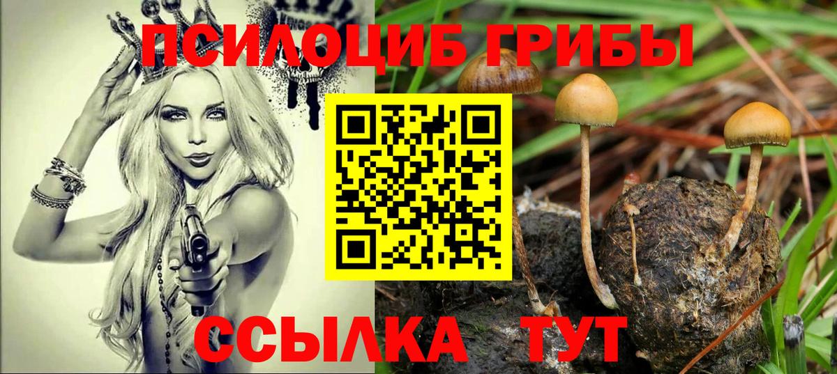 Галлюциногенные грибы ЛСД Холмск